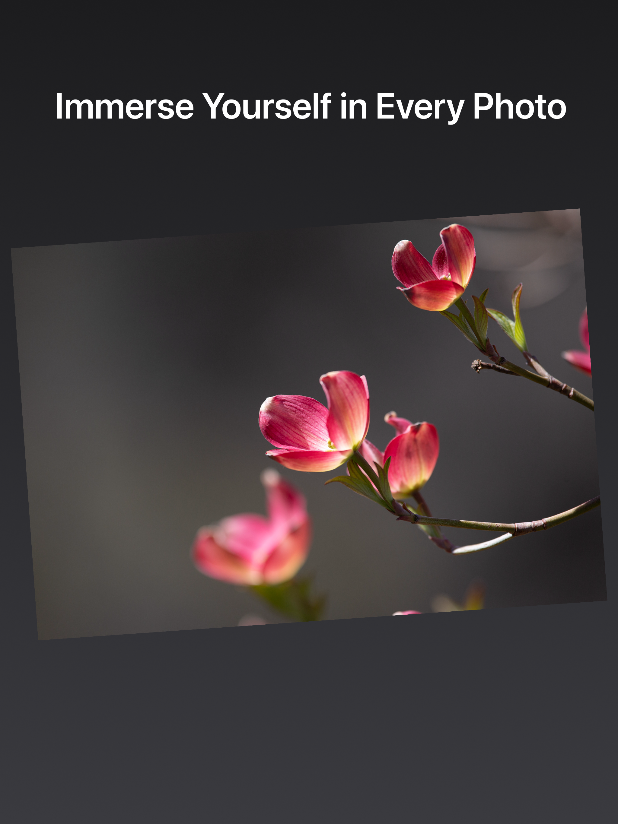Oak Viewer full-screen photo viewer